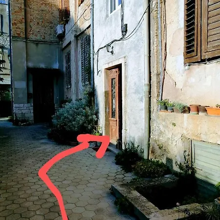 Center Arena Belvedere And 게스트하우스 *