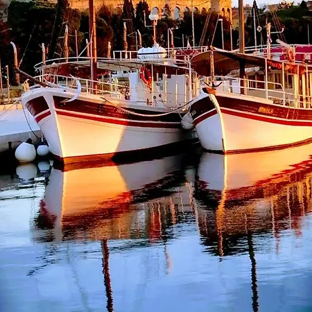 게스트하우스 Center Arena Belvedere And 풀라