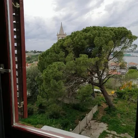 Center Arena Belvedere And 招待所 普拉