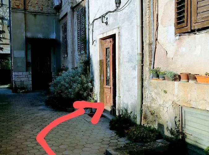 Center Arena Belvedere And Gasthof *